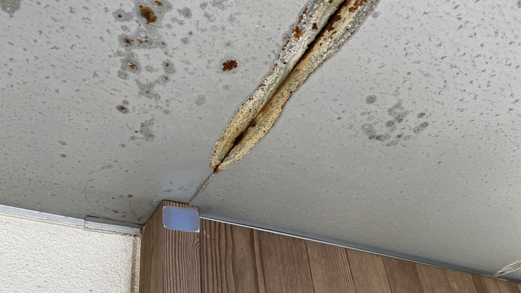 屋根_庇_軒天_施工前_雨漏り