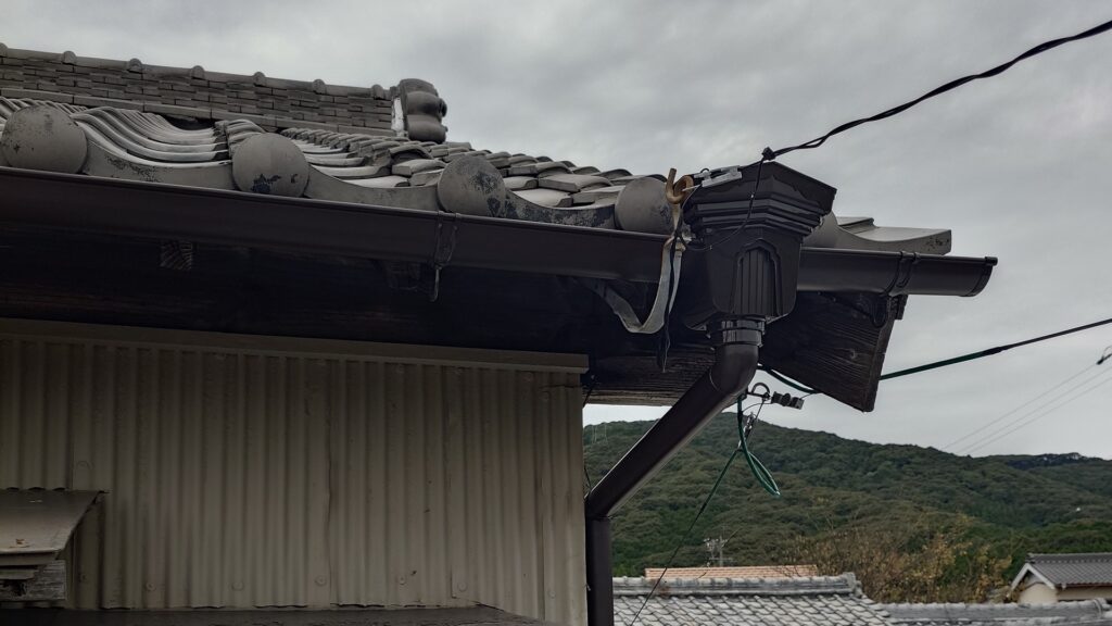 新しくなった雨樋